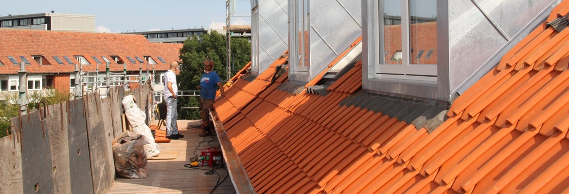 Kirkedammen Afd 24 11