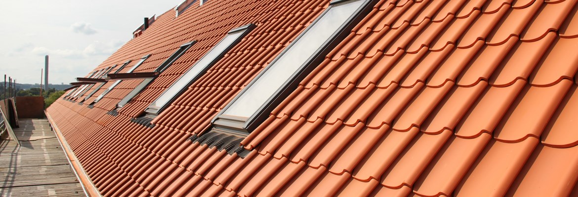 Kirkedammen Afd 24 12