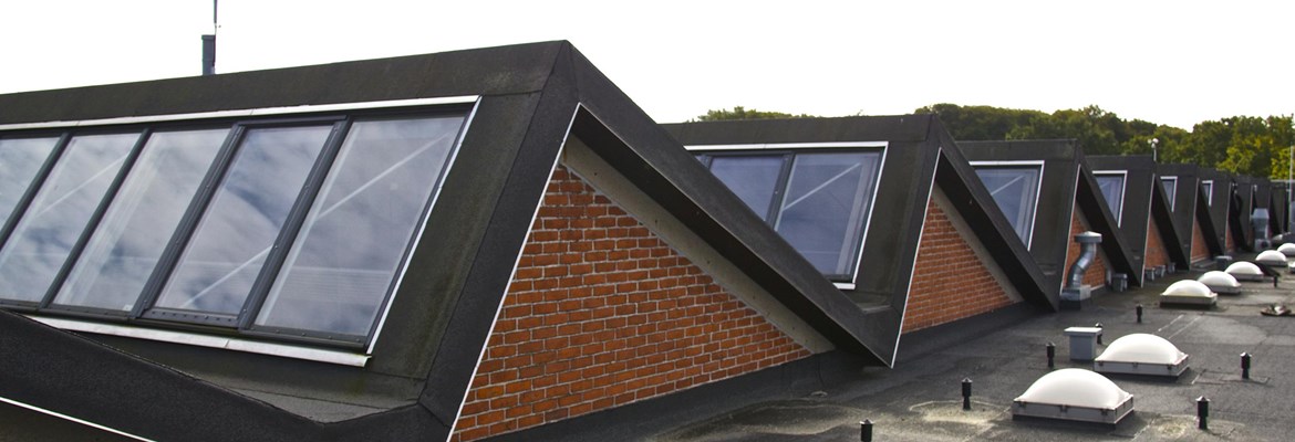 Denjyskehåndværkerskole3