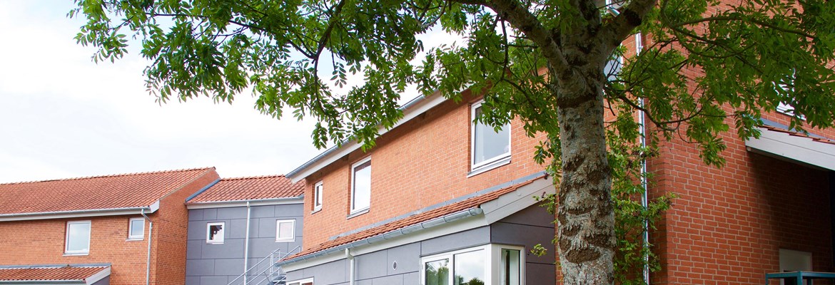 Visberghen, Mårslet 1